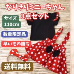 【新品未使用】110cmなりきりミニーちゃん風 プリンセスコスプレ3点セット