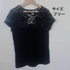 Item thumbnail for item 718b028d-7e23-4f80-9e6a-b4a49d921683