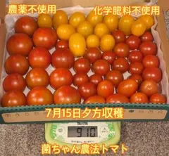 農薬化学肥料不使用　菌ちゃん農法トマト詰め合わせ　910gのサムネイル