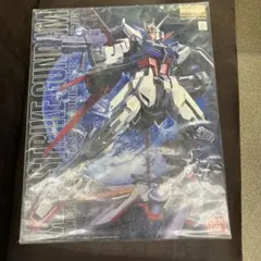 GAT-X105 エールストライクガンダム 1/100 限定版 メッキバージョン