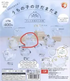 うちの子のけだまだま 丸たれみみ