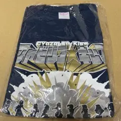 ★スターゲート★様 リクエスト 2点 まとめ商品