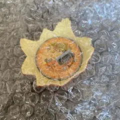 一番くじ ジョジョの奇妙な冒険　H賞 デスクトップマスコット　時計