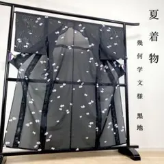 ☆専用☆美品 訪問着 絽 夏 夏着物 黒 ドット 丸 身丈167.5cm 正絹