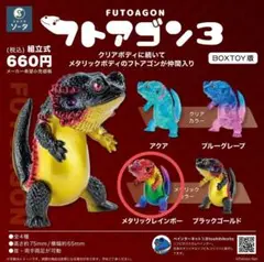 フトアゴン　レアカラー 2025年最新】フトアゴン 3の人気アイテム - メルカリ