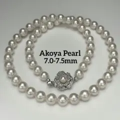 照り最強・希少】 あこや真珠 ツノケシパールネックレス 12.3-14.3mm 