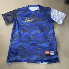 Item thumbnail for item 5cc7e5cc-6e50-4f75-ae2f-84d2f83e81de