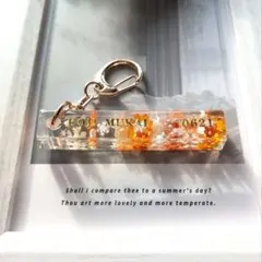 SnowMan　向井康二　雪降るホテルキー＊　No.0621