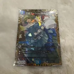 デュエルマスターズ 流星アーシュ＜私が主役!?＞ SR シークレット
