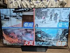 ジャンク】REGZA 65Z870N 液晶内割れ 音声正常 - メルカリ