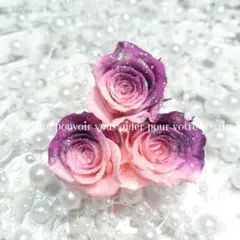 加工花材　ローズ　プリザーブドフラワー　ハーバリウム　アレンジメント　花材のサムネイル