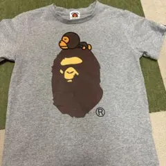 Item thumbnail for item 89f40cce-3906-48ff-afca-80c5299dc5eb