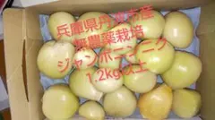 兵庫県丹波市産 無農薬栽培 ジャンボニンニクのサムネイル