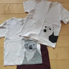 無印Tシャツ２枚　レギンスパンツ１枚セット 130cm