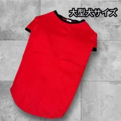 トコトコ☆彡様 リクエスト 2点 まとめ商品