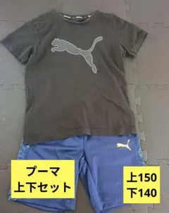 プーマ　スポーツウェア　 Tシャツとパンツセット 150　140