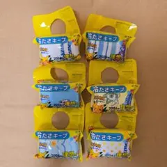 ポケモン ペットボトルカバー6個セット ピカチュウ 伊藤園