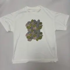 THE NORTH FACE グラフィックTシャツ M