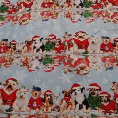 Usaコットン　dogクリスマス