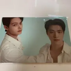 Your Choice ジュン ディノ　ポストカード