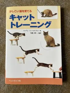 Item thumbnail for item e2c69440-530e-4506-a1c1-d4d8a4c8f36e