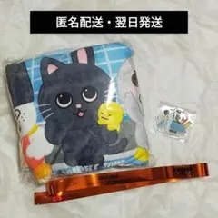 RIIZE アプグレ特典＆銀テ