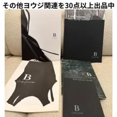レア 希少 B YOHJI YAMAMOTO カタログ ポスター パンフレットのサムネイル