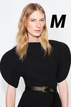 完売品 ZARA ZWコレクション パフスリーブトップス ブラック M ZARA ZWコレクション パフスリーブトップス M 新品 ブラック - メルカリ