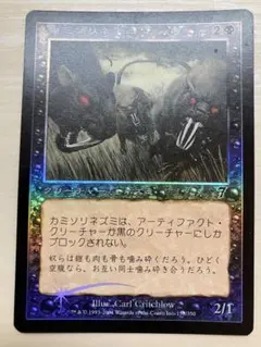 MTG 第7版 カミソリネズミ 日本語版 Foil