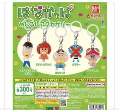 コンプ はなかっぱ めじるしアクセサリー 全5種 セット - メルカリ