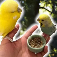 まゆ様 リクエスト 3点 まとめ商品