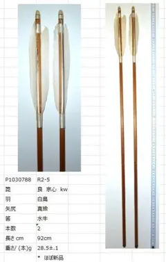 R2-5 弓道用 矢 2本セット 白鳥羽根 真鍮矢尻 - メルカリ