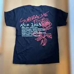レア　Conan Gray 2023 ツアー　Tシャツ L コナン　グレイのサムネイル