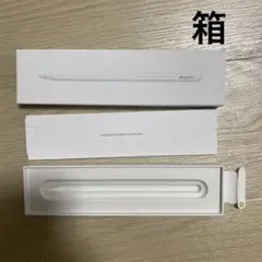 IPAD PRO APPLE PENCIL 箱