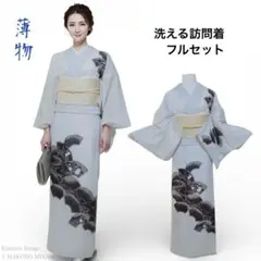 裄69.5 薄物　夏着物　絽　辻が花　洗える着物　訪問着　フルセット　イA11