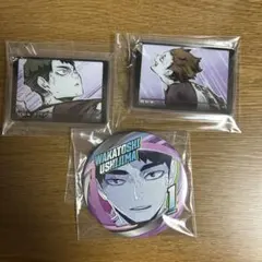 ハイキュー ファンパーク アクリルキーホルダー 缶バッジ 牛島 天童