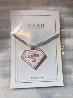 seventeen ジョンハン トレカ HARU キーホルダー