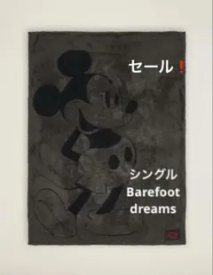 コロたん様 リクエスト 2点 まとめ商品