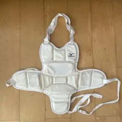 Item thumbnail for item a66c44c4-5095-4df7-8cd5-eb841bc091ff