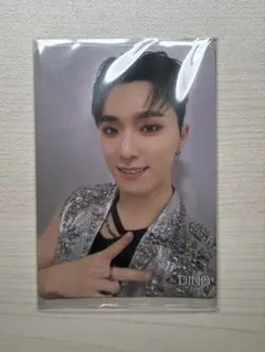 SEVENTEEN ディノ W会員特典 トレカ