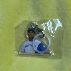 日ハム　めじるしチャーム　万波選手