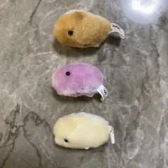 Item thumbnail for item 05700f5e-8f3d-46ac-8022-6e32eb0db9a6