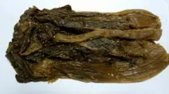 Item thumbnail for item 956ea5a0-7b8a-4df5-b64a-6f1a8a3bd05c