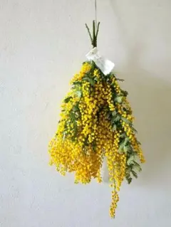 Item thumbnail for item 95d65635-808b-4e7e-a4aa-07d556e19e5b