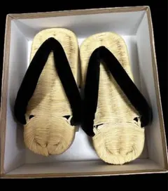 Item thumbnail for item 8d6b5ff1-8c7e-4ad0-8b69-80063fd23f0e