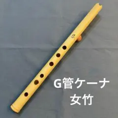 Item thumbnail for item 8e0f441a-16b9-4cde-bca1-24c66bfd5443