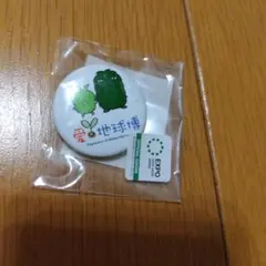 愛・地球博 缶バッジ 小 モリゾー キッコロ