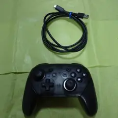 Nintendo Pro Controller ブラック