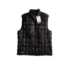 Item thumbnail for item 1a303c34-685d-4803-9b98-96f0a8fab74e