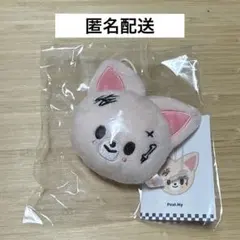 スキズ KARMA 韓国 ポップアップ ネームタグ アイエン フォクシニー